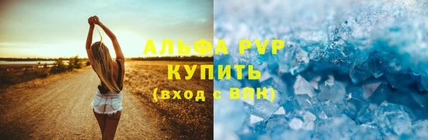 твердый Майский