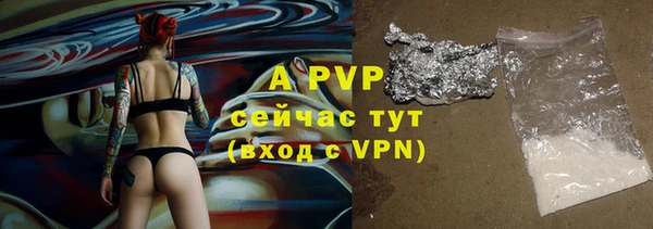 твердый Майский